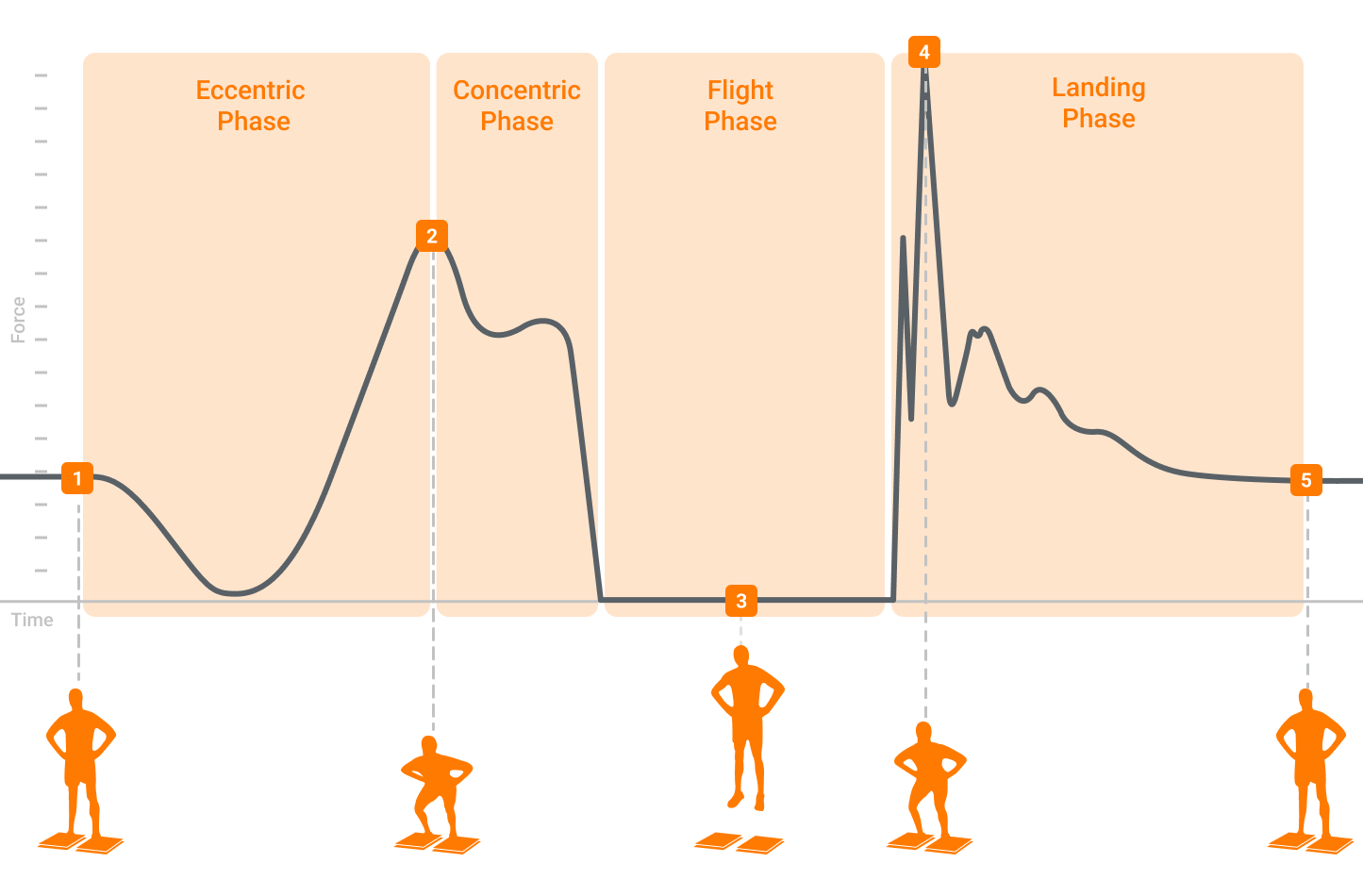 A typical force-time curve for a CMJ, with the correlated movement associated with the force trace and phases of movement.