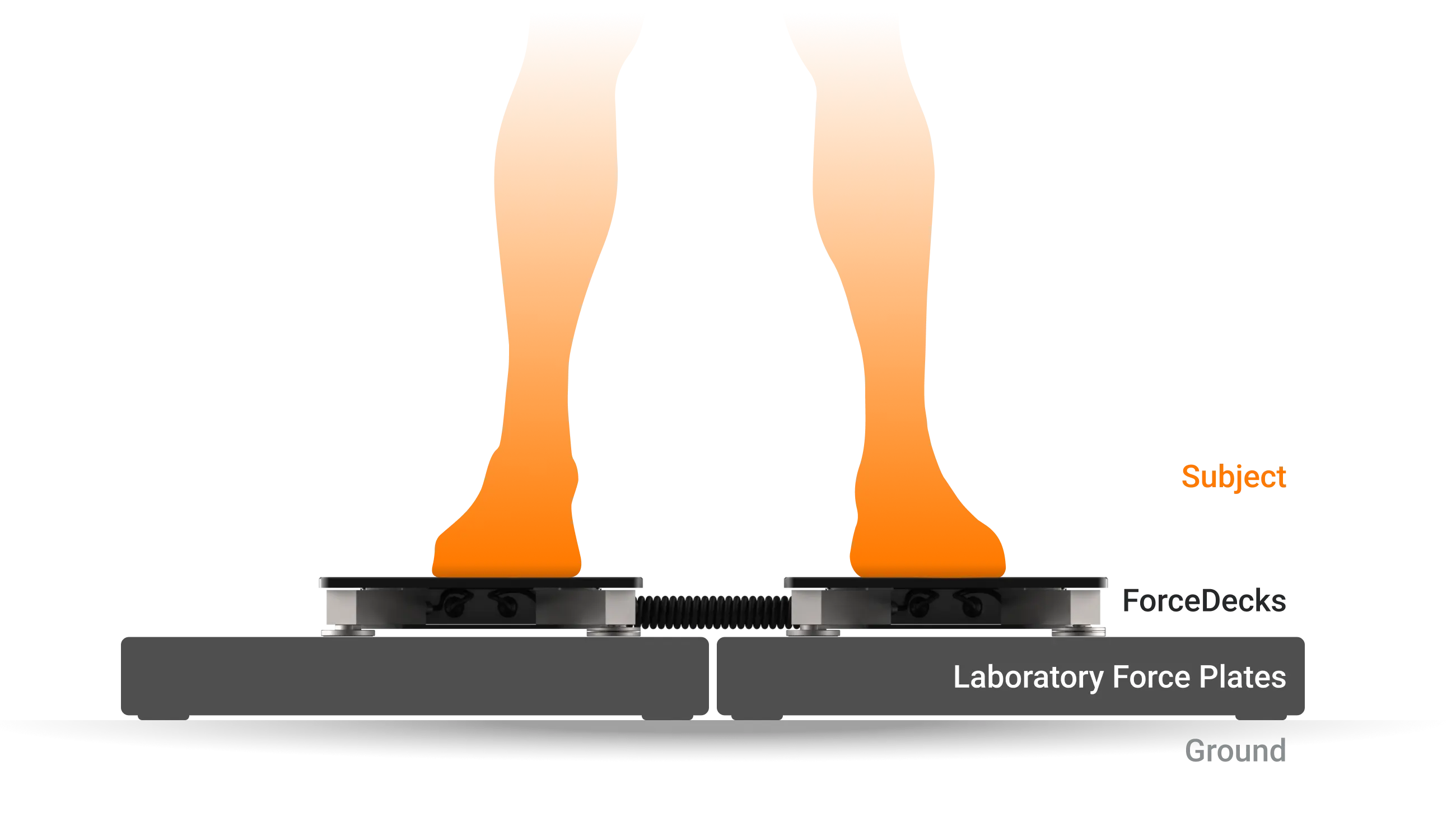 ForceDecks were placed atop AMTI plates so that data could be captured simultaneously.